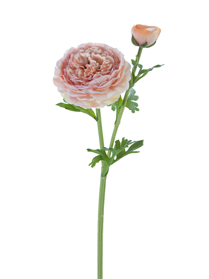 22" Butter Cup Ranunculus Spray (Various Colors)