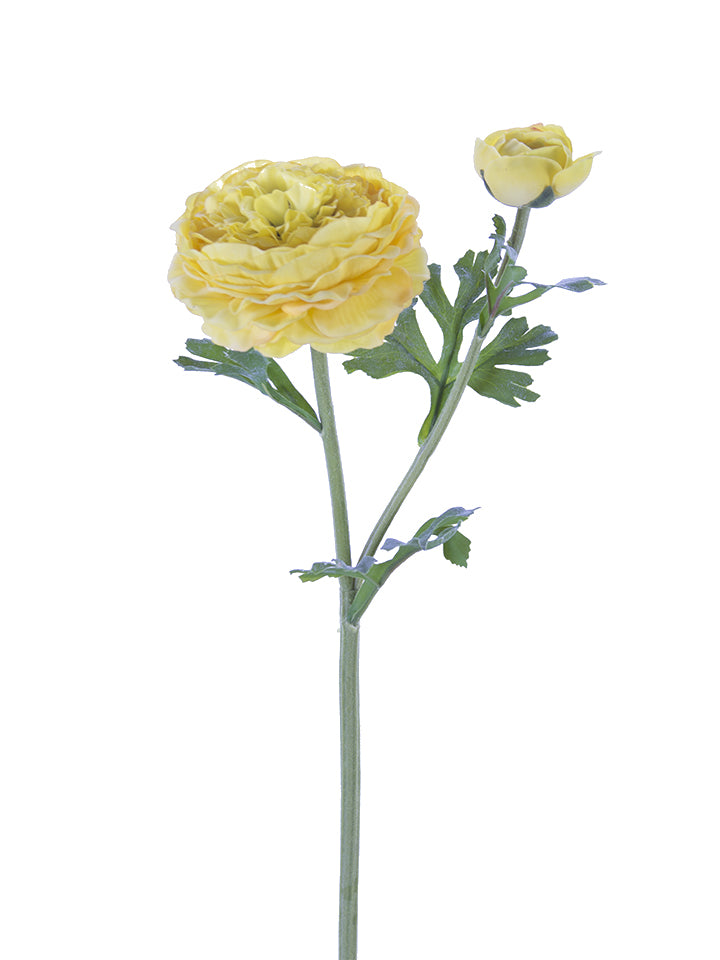 22" Butter Cup Ranunculus Spray (Various Colors)