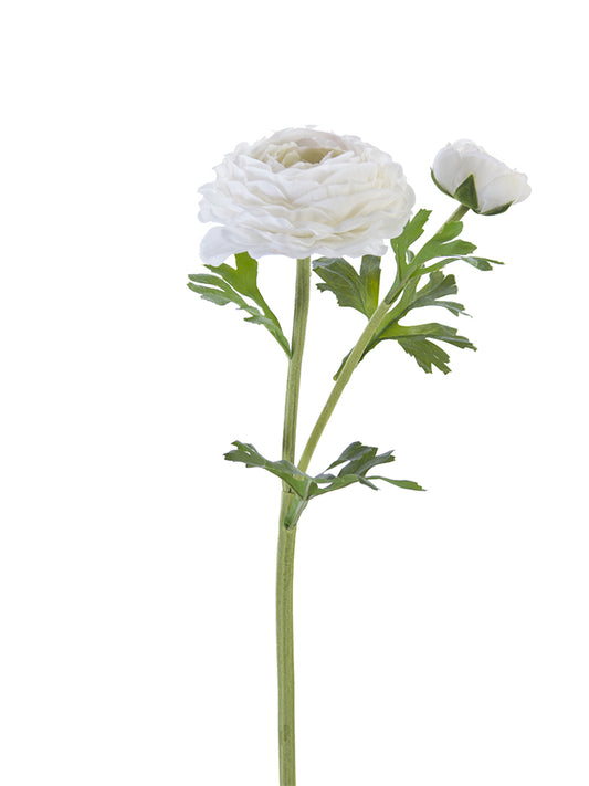24" Real Touch Asiatic Ranunculus Stem, White
