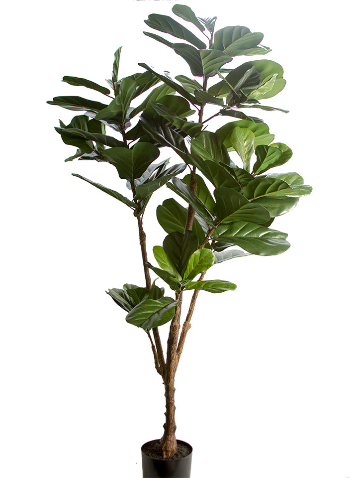 6’ Real Touch Fiddle Leaf Fig Tree