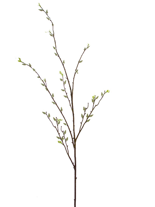 53.5" Pussy Willow Branch, Light Green