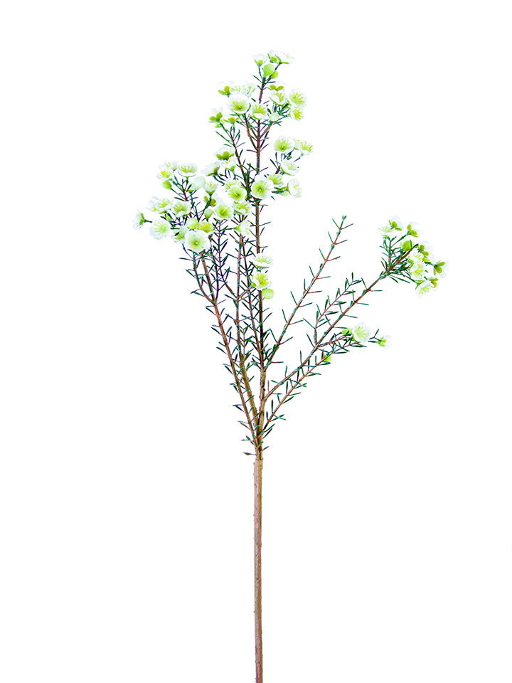 31" Wax Flower Spray (Various Colors)