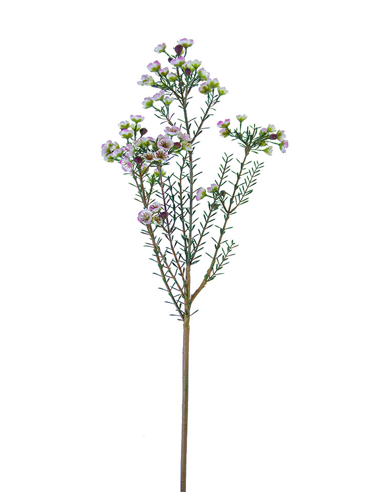 31" Wax Flower Spray (Various Colors)