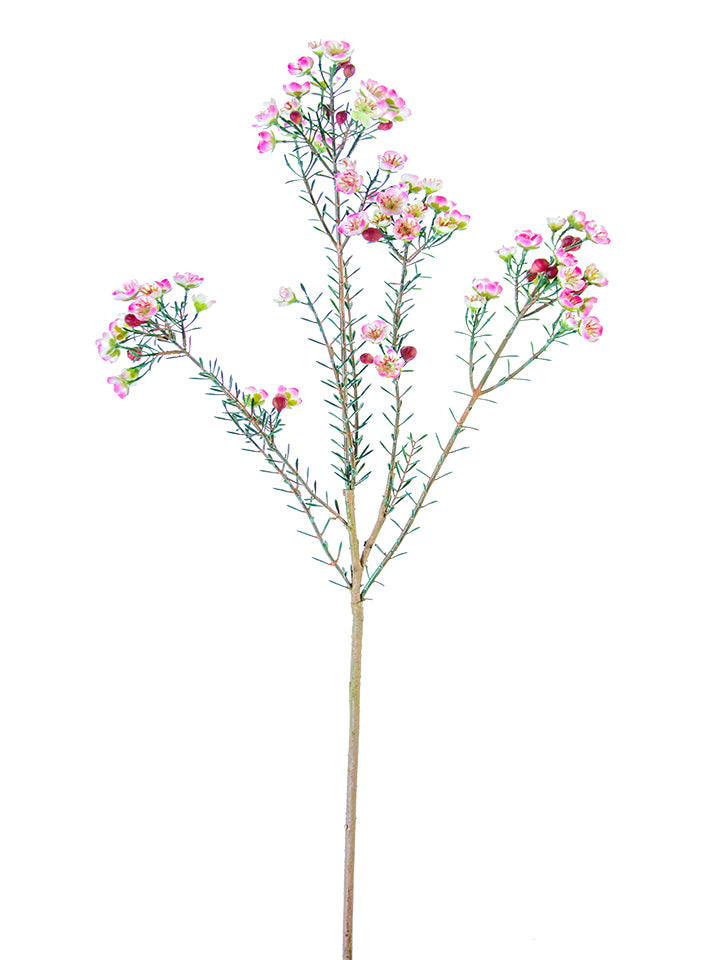 31" Wax Flower Spray (Various Colors)
