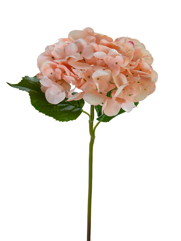 22" Fresh Touch Grand Hydrangea, Light Coral