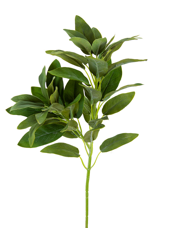 21" Salvia Spray, Green
