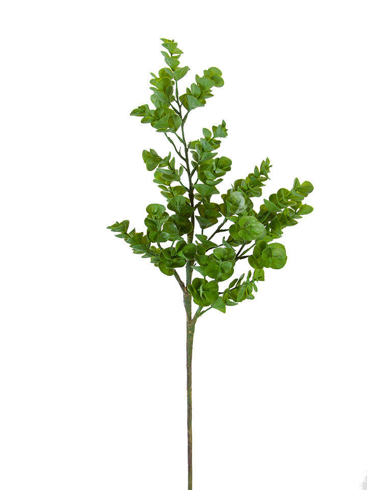 32" Eucalyptus Spray, Green