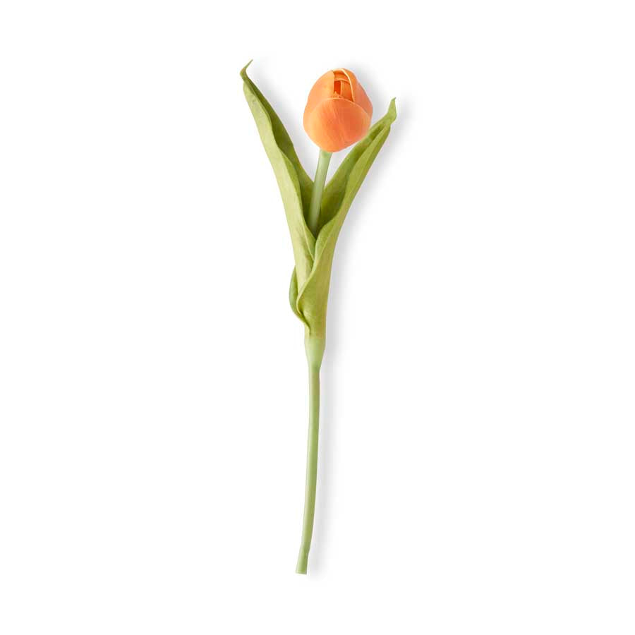 10.5" Single Mini Tulip (Various Colors)