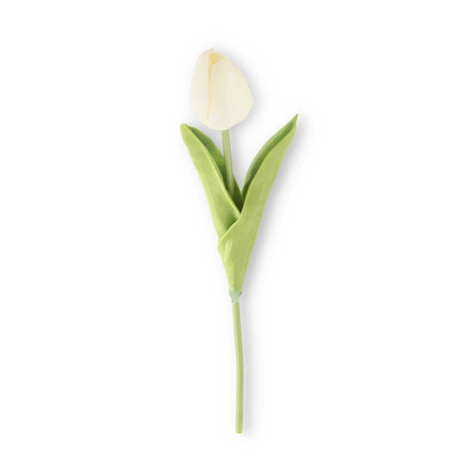 10.5" Single Mini Tulip (Various Colors)