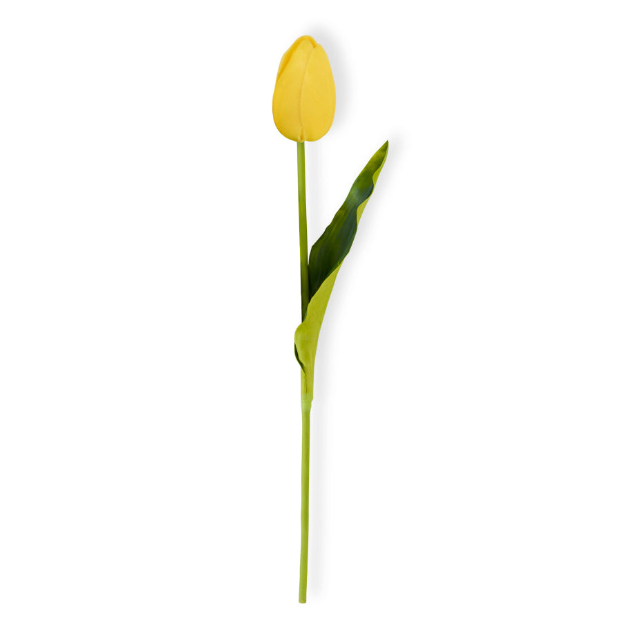 10.5" Single Mini Tulip (Various Colors)