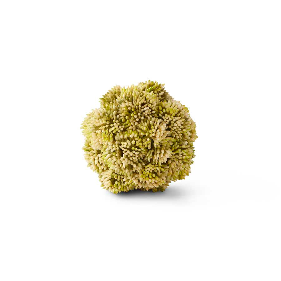 4" Sedum Ball (Various Colors)