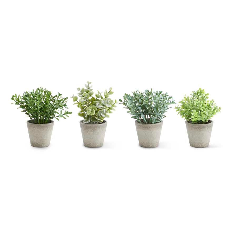 Mini Herb in Pots (Various Styles)