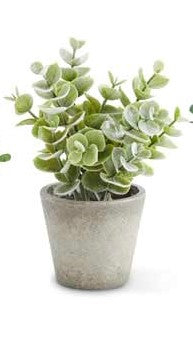 Mini Herb in Pots (Various Styles)