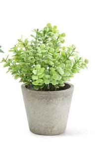 Mini Herb in Pots (Various Styles)