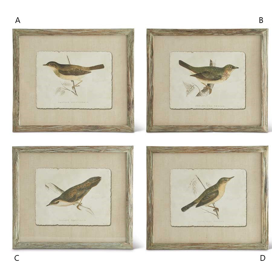 Patina Bois Wood Framed Bird Print (Various Styles)