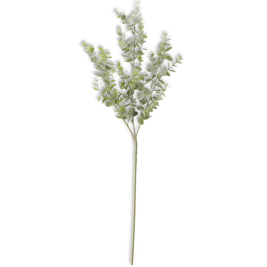 26" Eucalyptus Stem, Soft Green