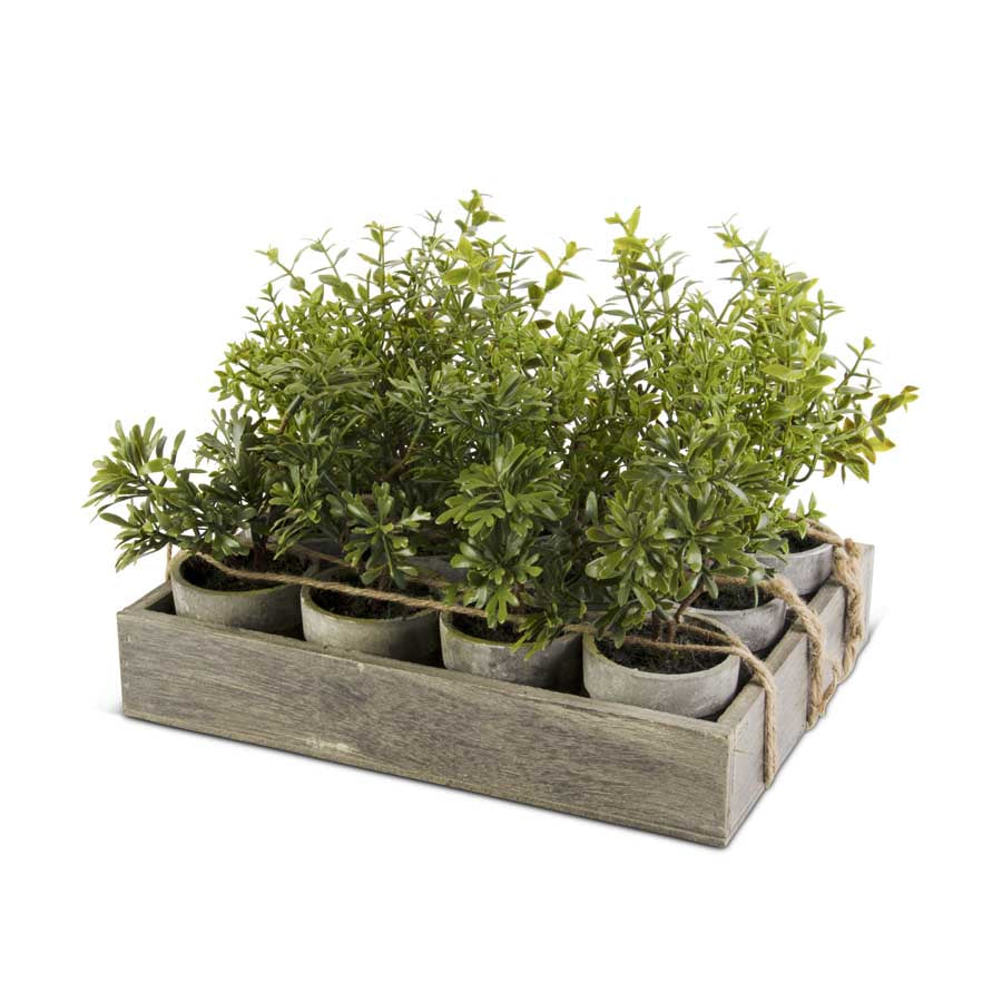 12" Potted Herb (Various Styles)