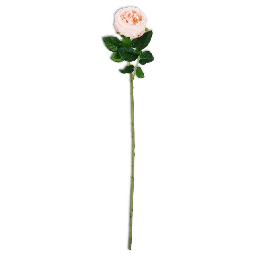 24" Real Touch Austin Rose Stem (Various Colors) The Mint Julep