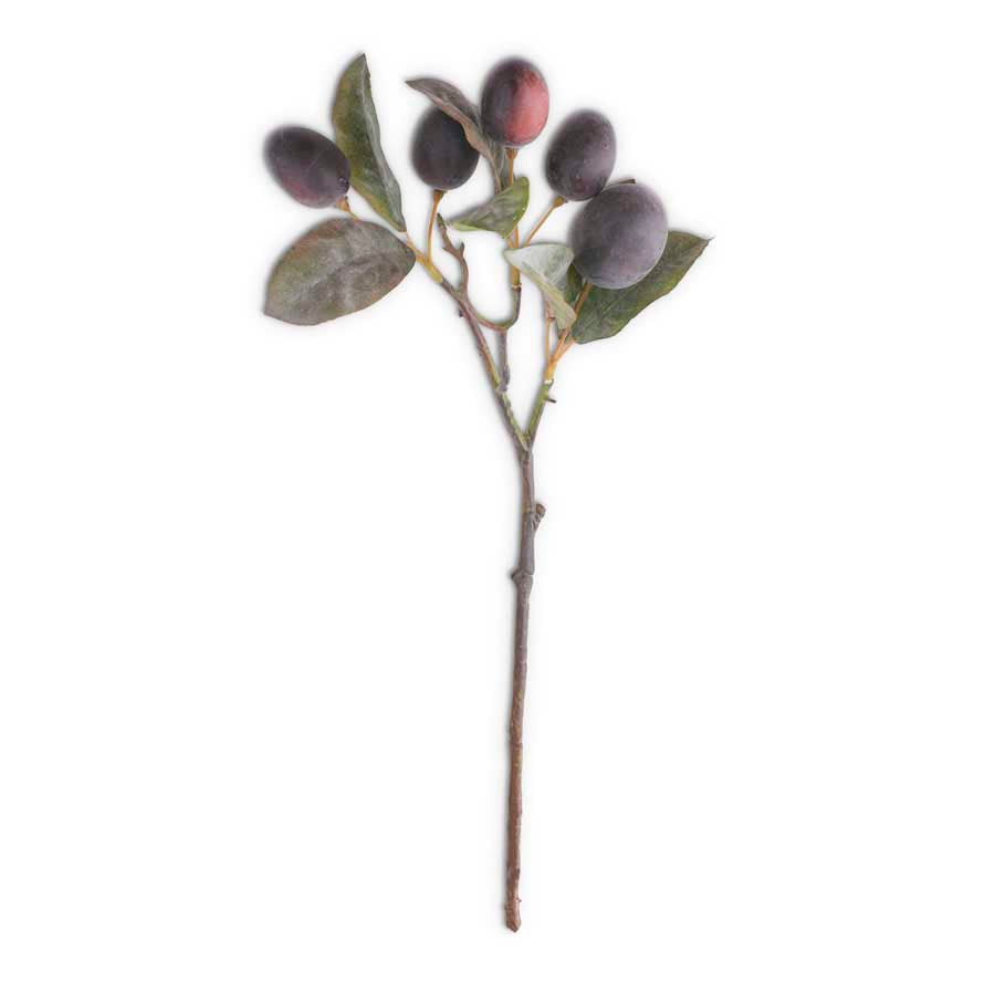 16" Plum Stem