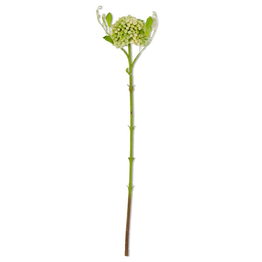 20" Real Touch Sedum Stem (Various Colors)