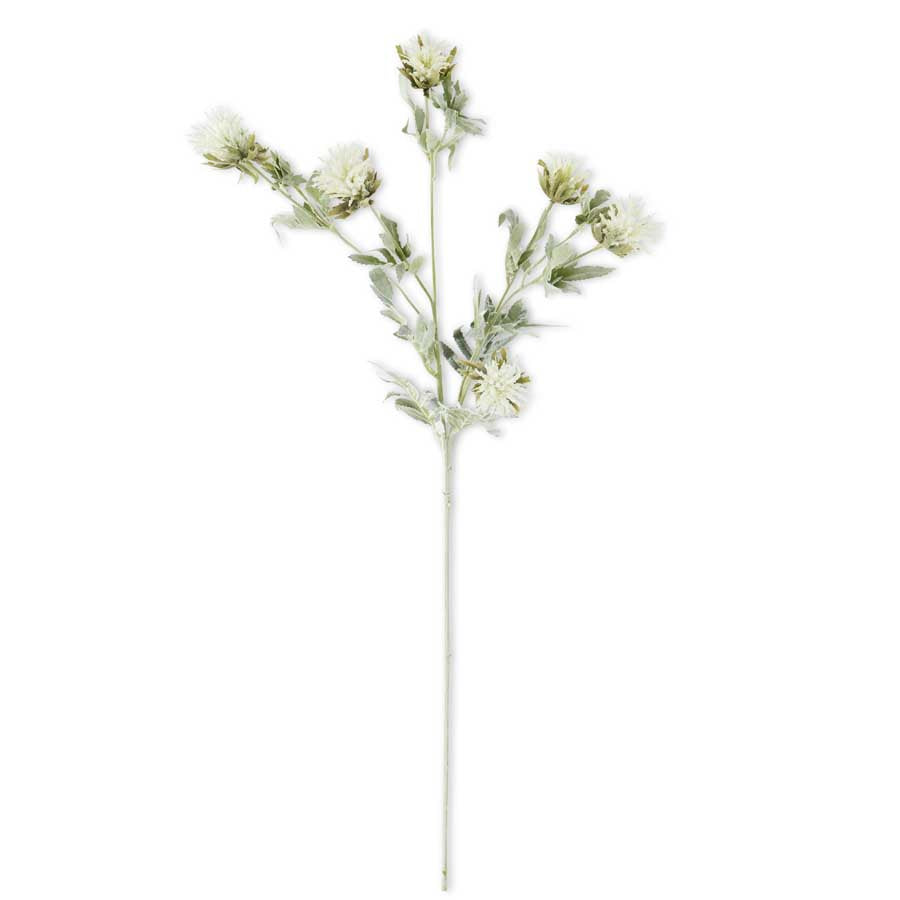 33 " White Thistle with Soft Green Foliage Stem