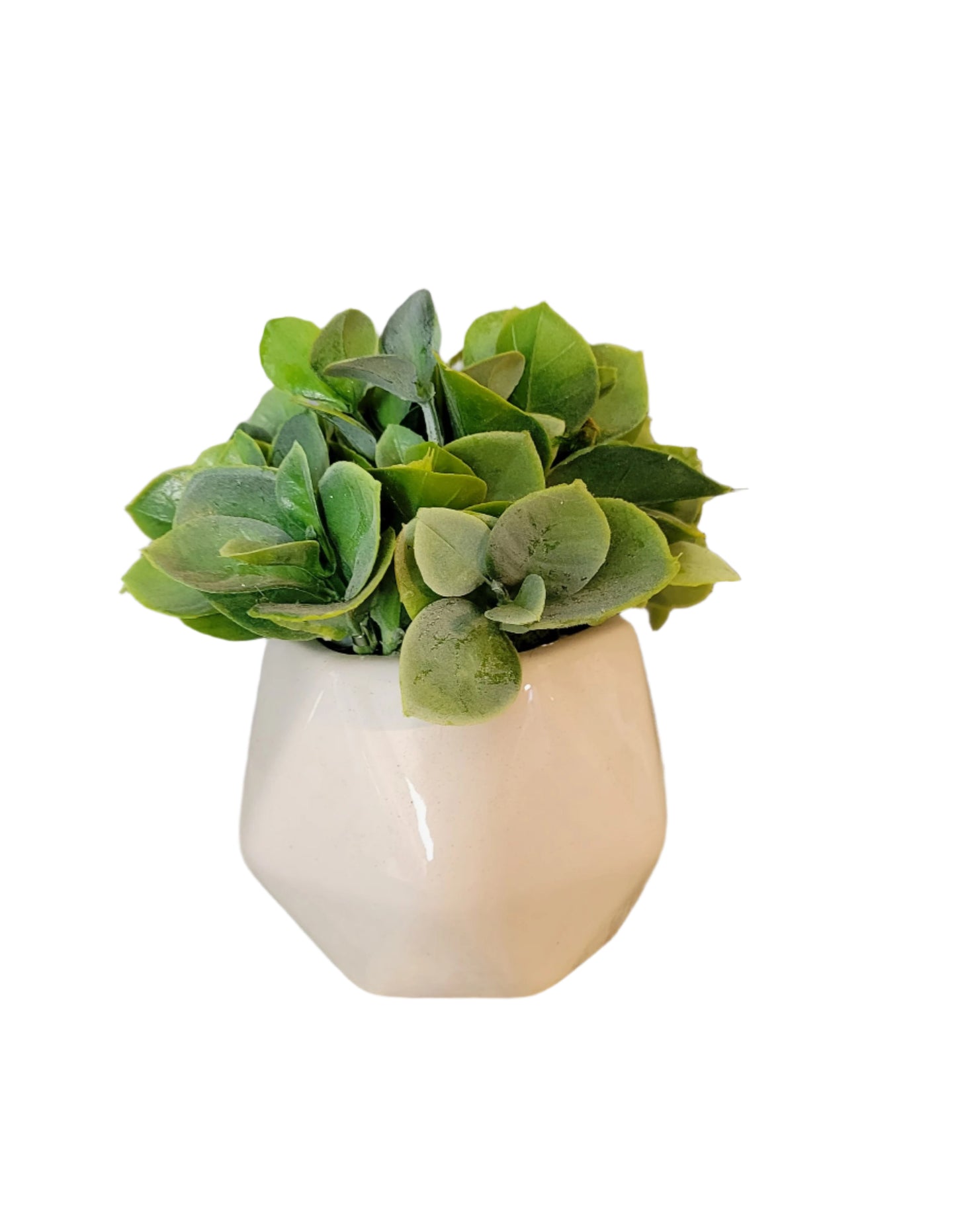 Mini Greenery