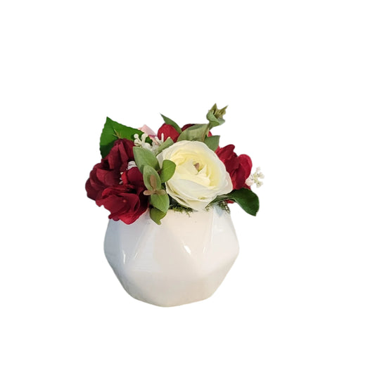 4" Red And White Sit Around