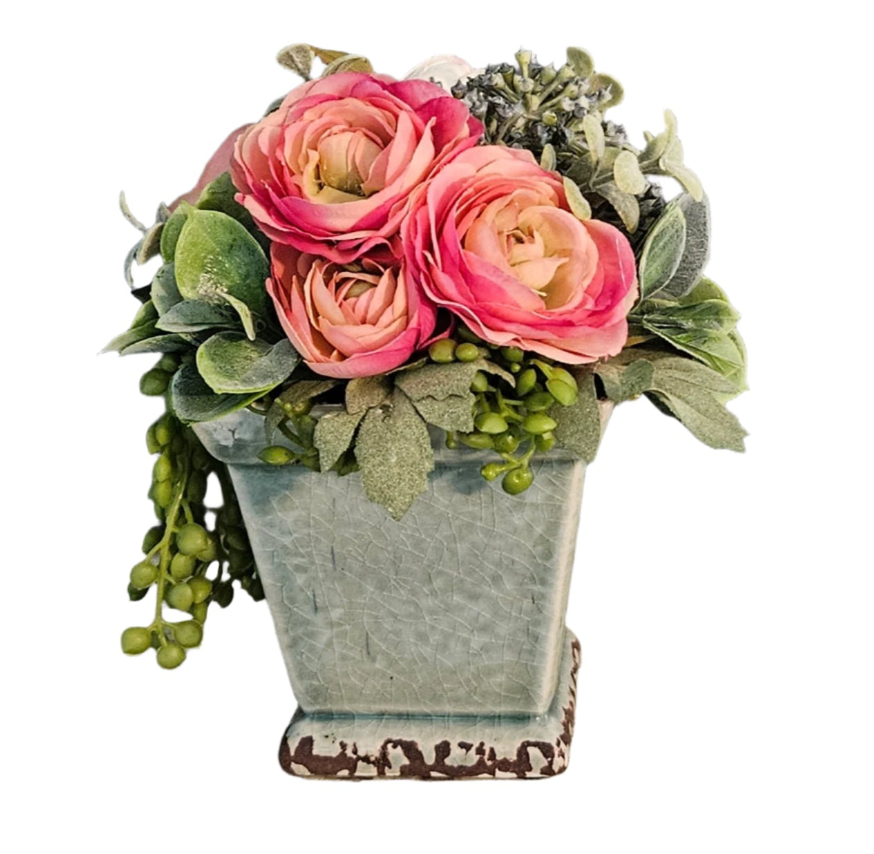 Potted plant with pink flowers and green leaves on a white background