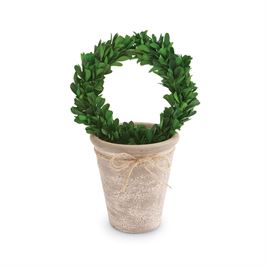 Preserved Boxwood Topiary
