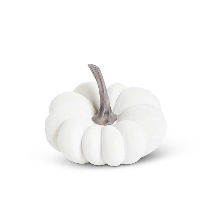White Textured Pumpkin with Dark Brown Stem (Various Sizes)