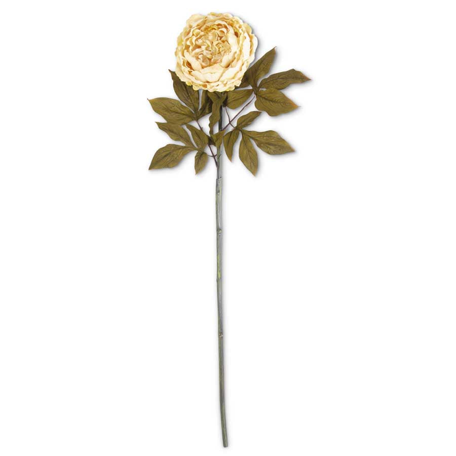 30" Peony Stem, Cream