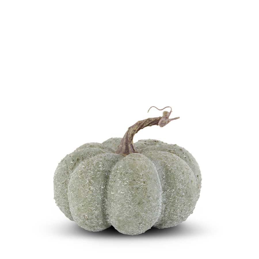 Green Whitewashed Textured Pumpkin (Various Sizes)
