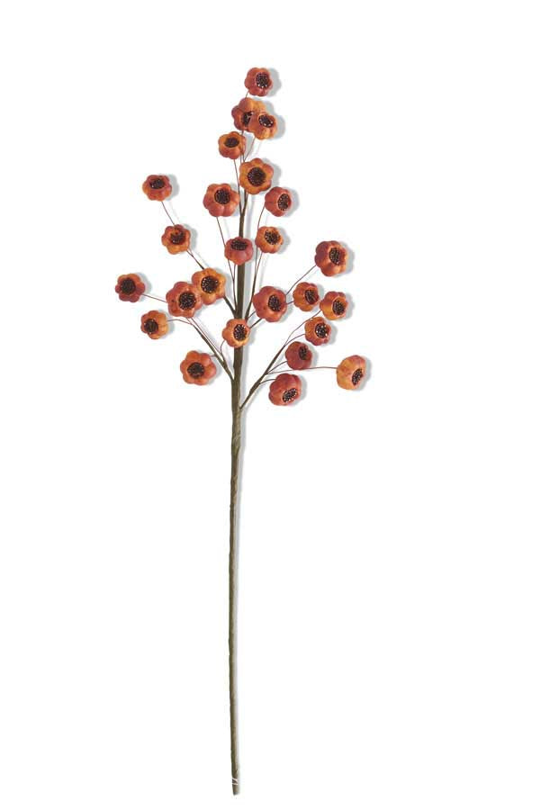 27" Fig Stem, Orange