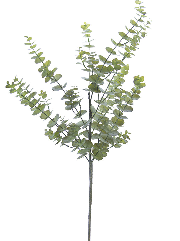 44" Eucalyptus Spray, Green