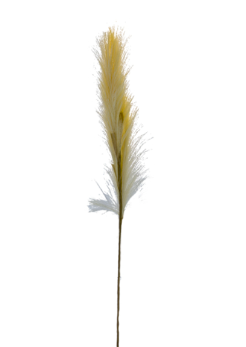 47.5" Pampas Grass Spray, Cream