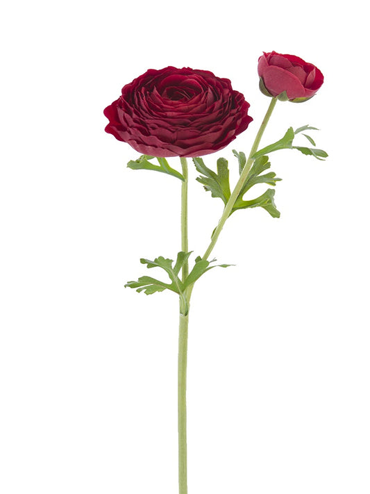 24" Real Touch Open Ranunculus Stem, Red