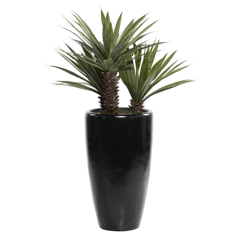Large Botanical in Black Pot (Outdoor Safe)
