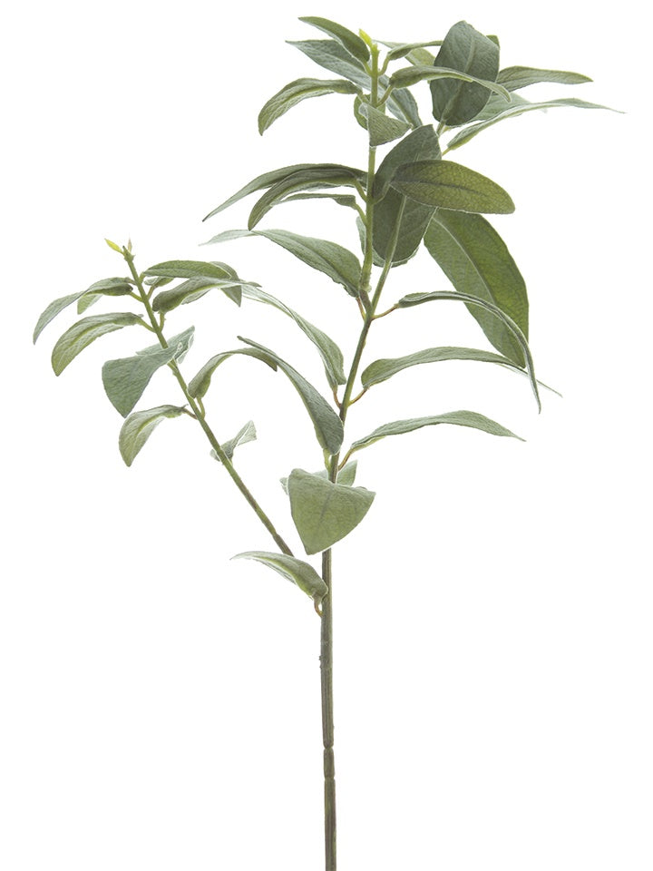 22.5" Sage Spray