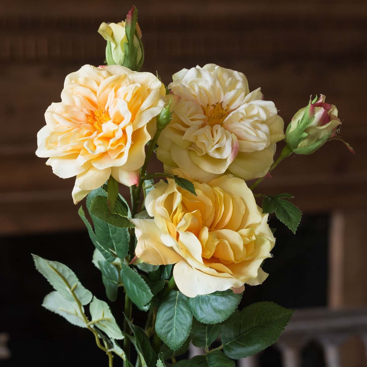 Gathered Yellow Garden Roses