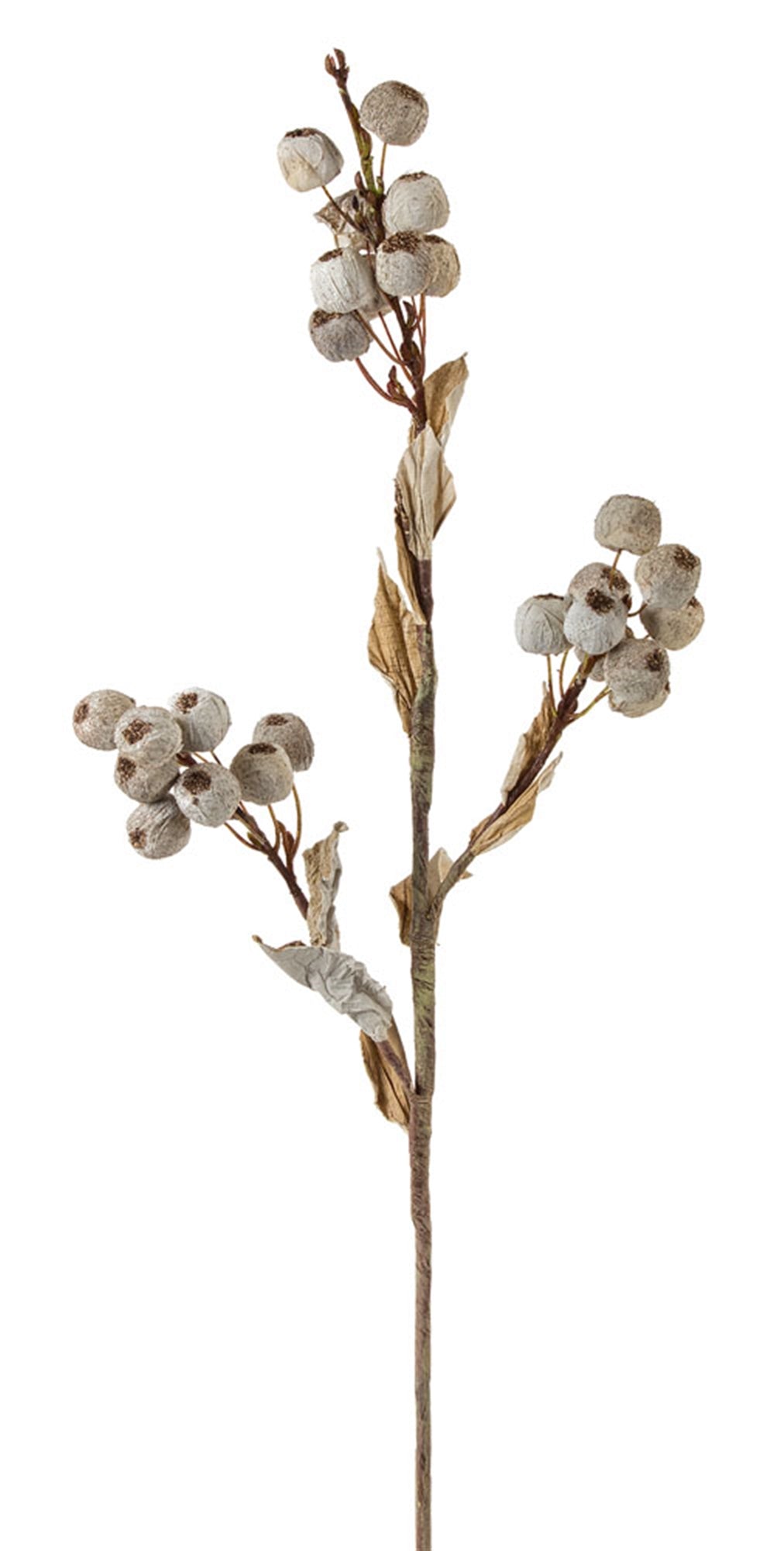 31" Pod Branch