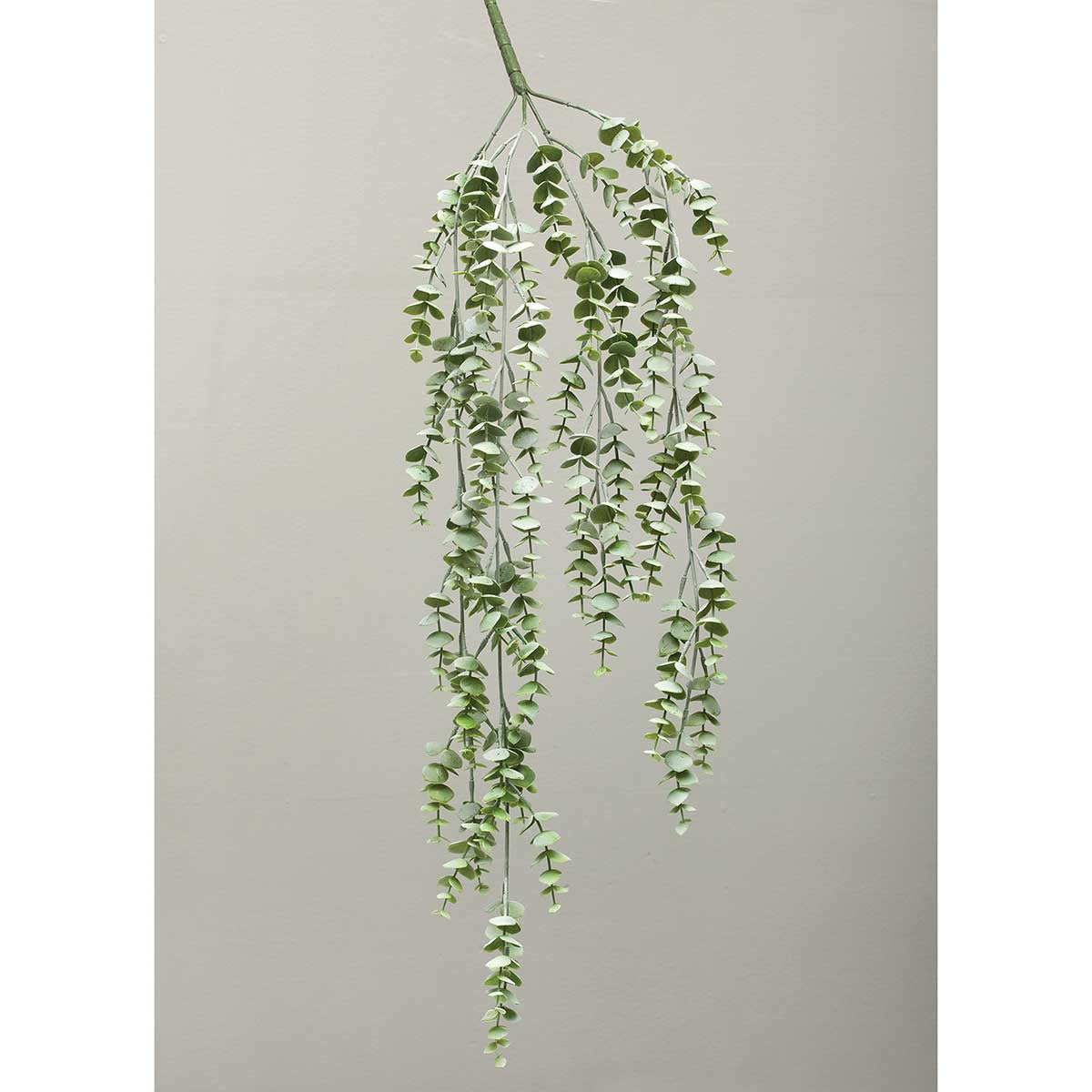 29.5" Weeping Eucalyptus