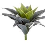 10" Agave Pick, Sage Green w/ LT GR center