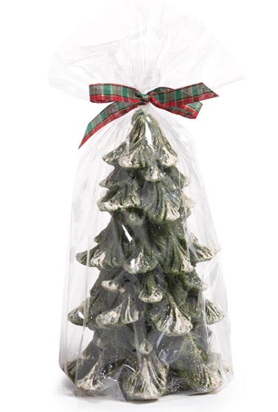 Aspen Pine Tree Candle (Various Sizes)
