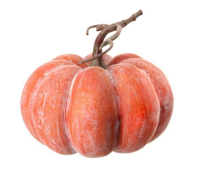 Weathered Pumpkin & Vine, Short