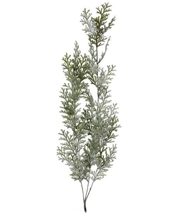32" Frosted Hanging Cyprus Spray