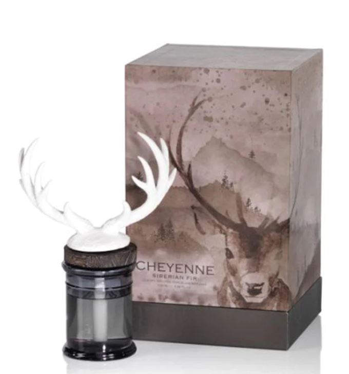 Cheyenne Diffuser Set (Various Fragrances)