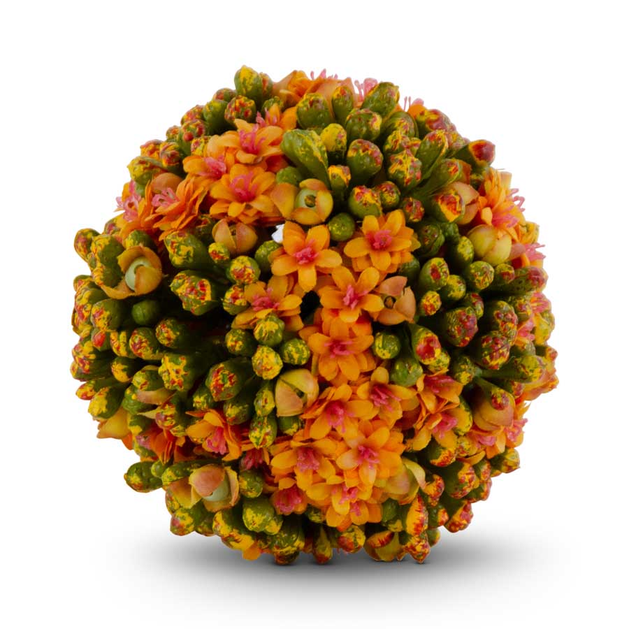 4" Kalanchoe Ball, Orange