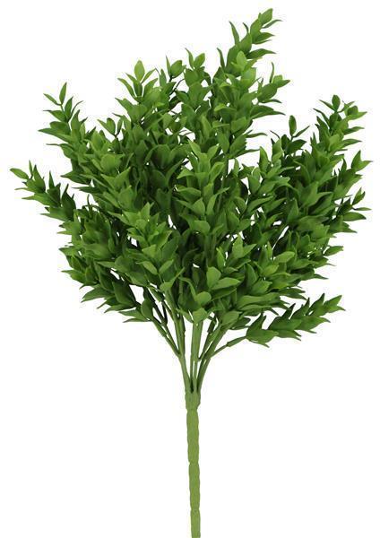 14" Ruscus Bush