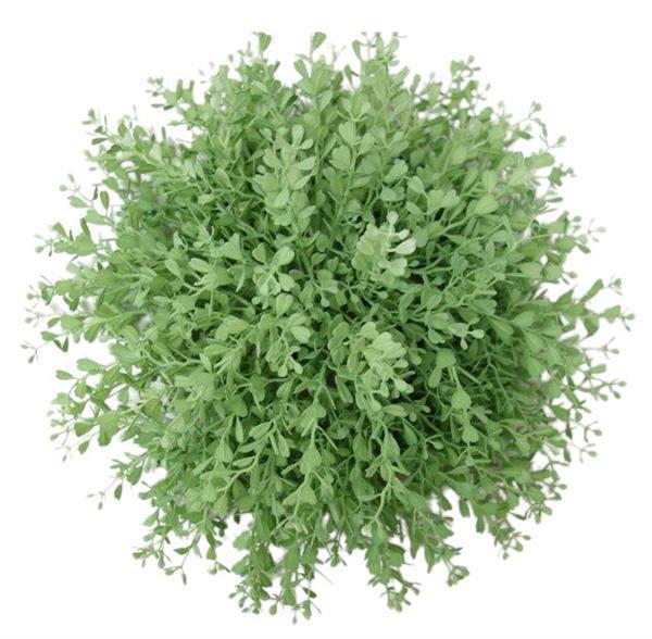 12" Half Round Boxwood Ball, Cream/Green
