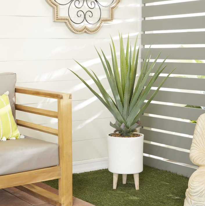 Modern Aloe Plant in White Potted Stand